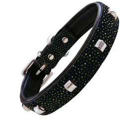 collar-tachuelas-brillante-menu-inicio