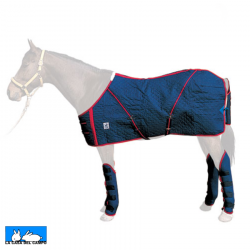 Protector Mehis Transporte