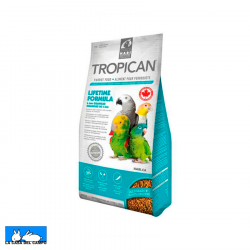Tropican Loros