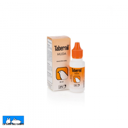 Tabernil Muda