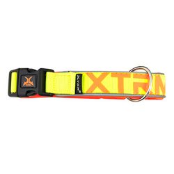 Collar X-trm