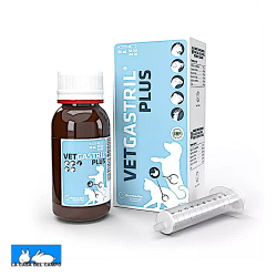 vetgastril plus jarabe para perros y gatos con problemas estomacales y digestivos