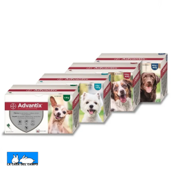 Advantix 24 pipetas
