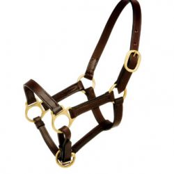 cabezada cuero cabezada cuadra