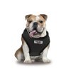arnés xt dog sport