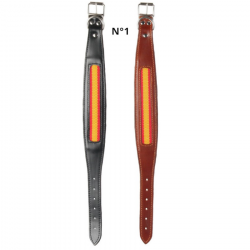 Collar Galgo Piel Estrecho España