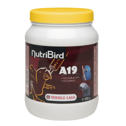 Nutribird Papilla A19