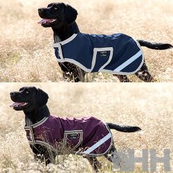 impermeable para perros