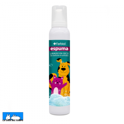 Champú Espuma Lavado En Seco 250 ml