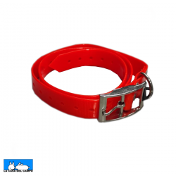 Collar Nylon/Poliuretano