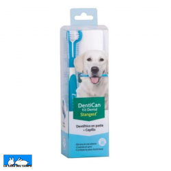 Dentican Kit Pasta Dental + Cepillo