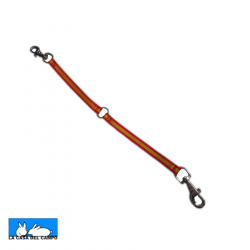 Extensión para Ramal 2 Perros España