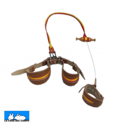 Traílla para 2 Galgos España