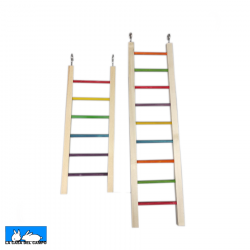 Escalera de Colores Aves