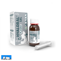 Hyaloral Plasma Gel
