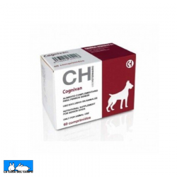 Cognivan Neuroprotector