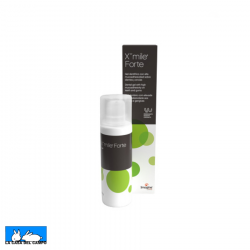 Xmile Forte
