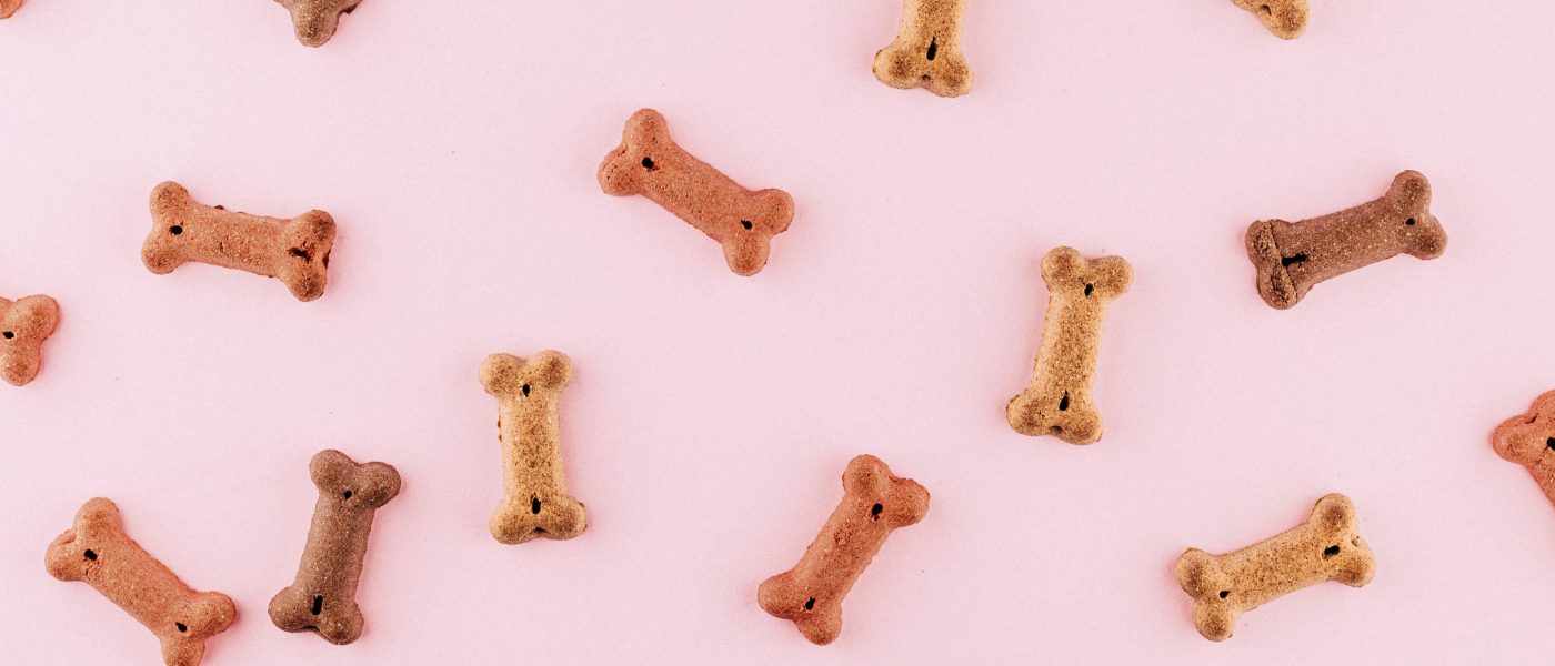 Beneficios de los snacks saludables y suplementos nutricionales para mascotas